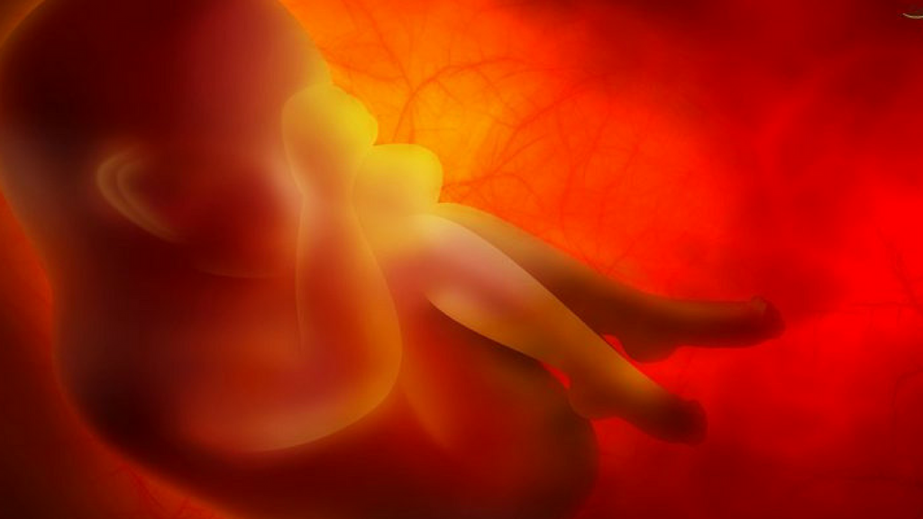 7 Really Cool Things Your Unborn Child Hears-Li'l Zippers-Baby Zip Rompers