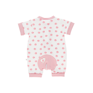 Wholesale Starter Pack - Pink Shell Short Romper-Wholesale Starter Pack-0000 x 1 | 000 x 2 | 00 x 2 | 0 x 1 | 1 x 1-Li'l Zippers-Baby-Zip-Rompers